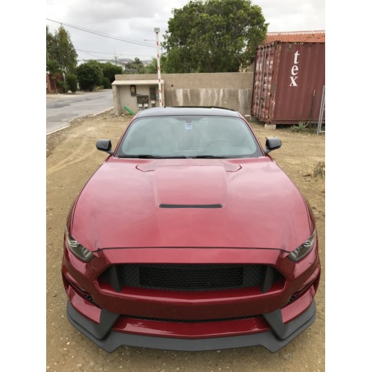 GT350 STYLE ALUMINUM HOOD -  (MUSTANG 2015-2017 GT, ECOBOOST, V6)