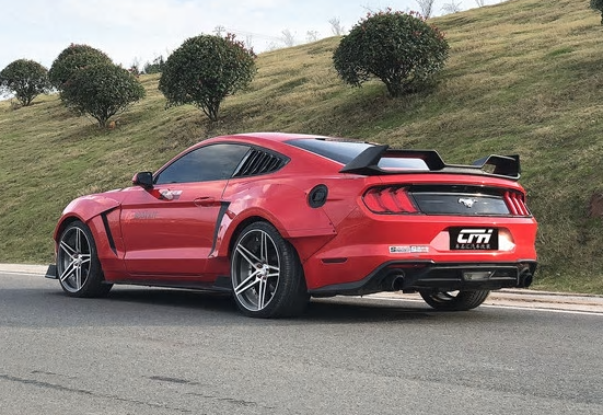 FORD MUSTANG ab 2015 GTSS Carbon fiber Spoiler
