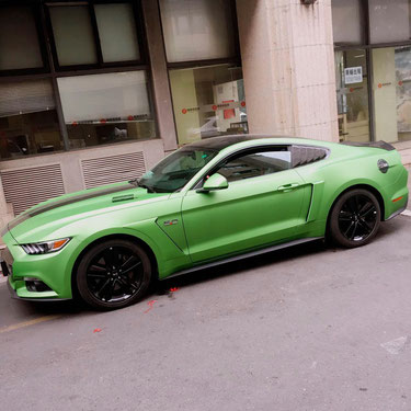 Kotflügel Set Vorne und Hinten Mustang 2015,2016,2017,2018