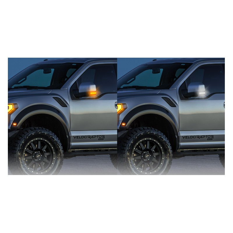 Sequentielle LED-Spiegelblinker mit Tagfahrlicht (FORD F150 2015-2021)